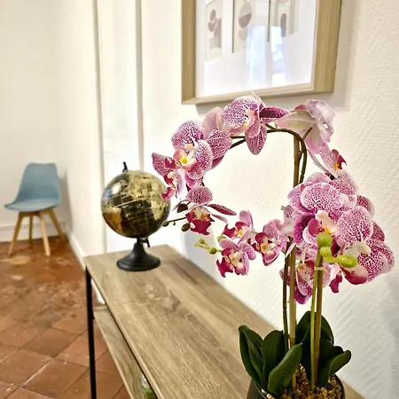 Tour Nord - T3 Entre Bastide Et Cite Medievale Apartment *